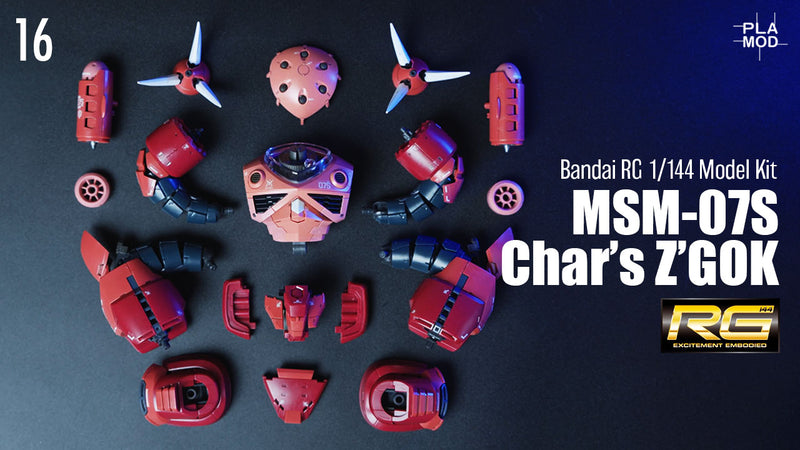 RG CHAR’S Z’GOK